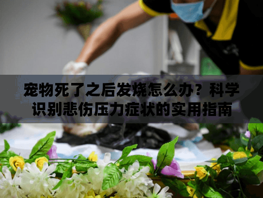 宠物死了之后发烧怎么办？科学识别悲伤压力症状的实用指南