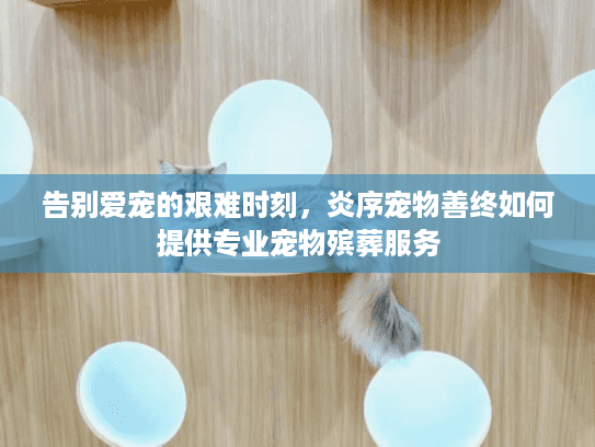 告别爱宠的艰难时刻，炎序宠物善终如何提供专业宠物殡葬服务