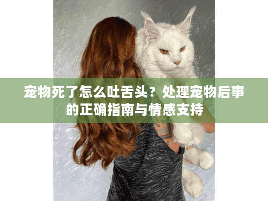 宠物死了怎么吐舌头？处理宠物后事的正确指南与情感支持