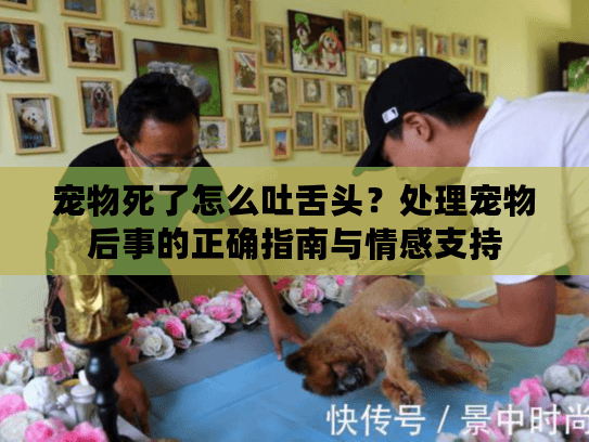 宠物死了怎么吐舌头？处理宠物后事的正确指南与情感支持