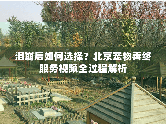 泪崩后如何选择？北京宠物善终服务视频全过程解析