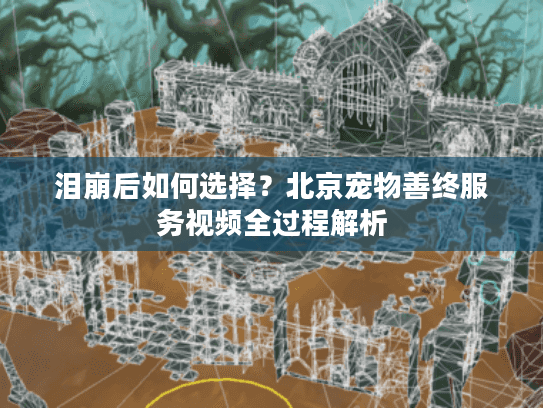 泪崩后如何选择？北京宠物善终服务视频全过程解析