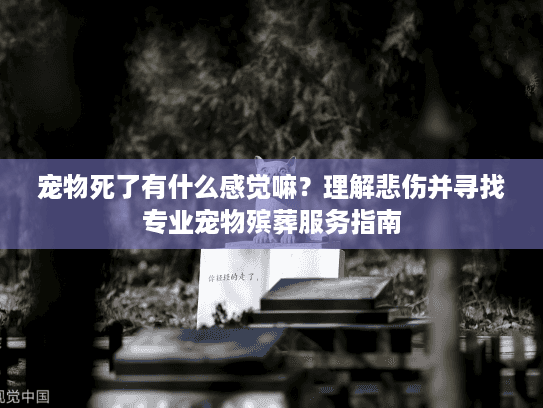 宠物死了有什么感觉嘛？理解悲伤并寻找专业宠物殡葬服务指南