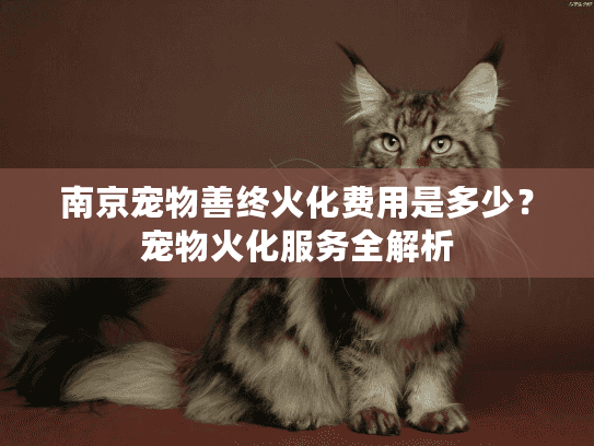南京宠物善终火化费用是多少？宠物火化服务全解析