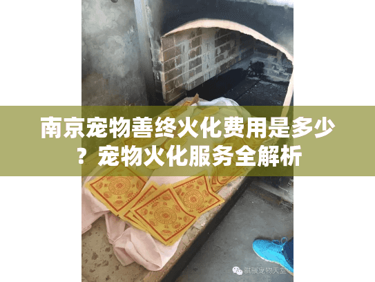南京宠物善终火化费用是多少？宠物火化服务全解析