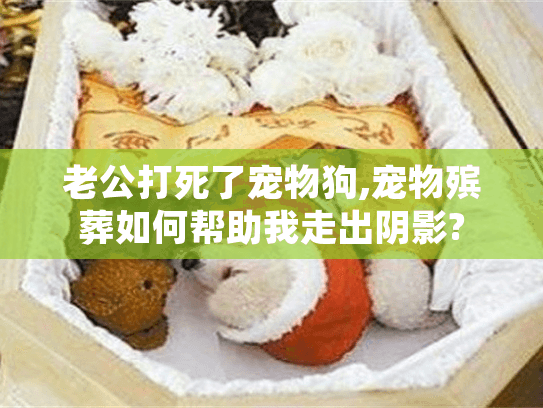 老公打死了宠物狗,宠物殡葬如何帮助我走出阴影?
