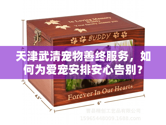 天津武清宠物善终服务，如何为爱宠安排安心告别？