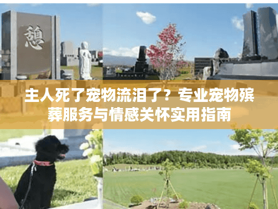 主人死了宠物流泪了？专业宠物殡葬服务与情感关怀实用指南