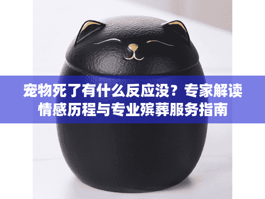 宠物死了有什么反应没？专家解读情感历程与专业殡葬服务指南