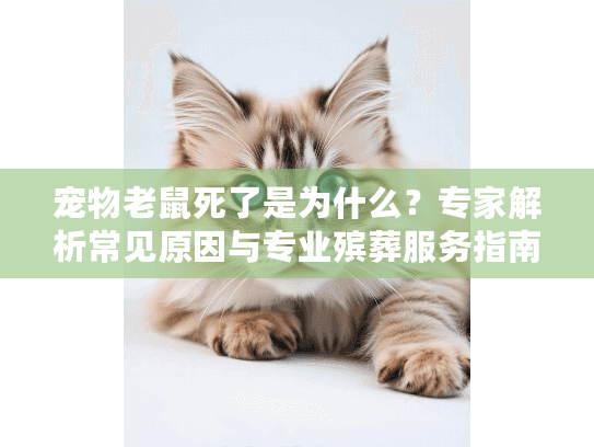 宠物老鼠死了是为什么？专家解析常见原因与专业殡葬服务指南