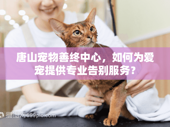 唐山宠物善终中心，如何为爱宠提供专业告别服务？