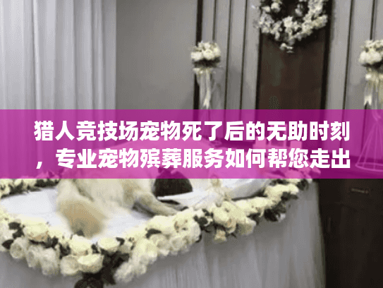 猎人竞技场宠物死了后的无助时刻，专业宠物殡葬服务如何帮您走出悲伤