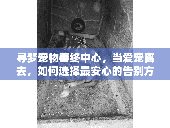 寻梦宠物善终中心，当爱宠离去，如何选择最安心的告别方式？