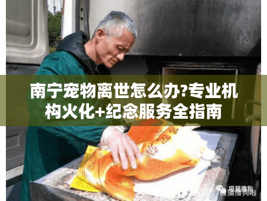 南宁宠物离世怎么办?专业机构火化+纪念服务全指南