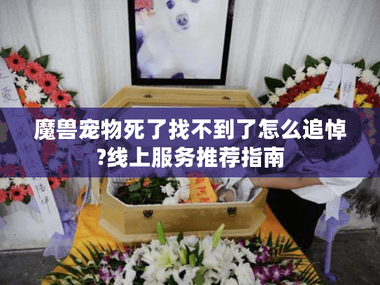 魔兽宠物死了找不到了怎么追悼?线上服务推荐指南