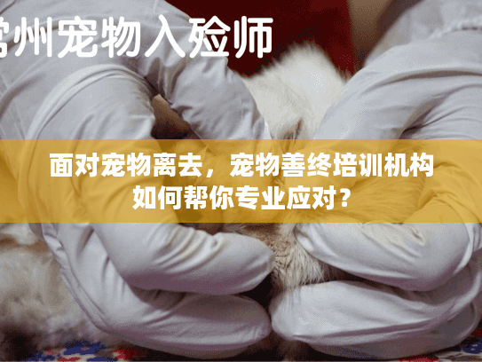 面对宠物离去，宠物善终培训机构如何帮你专业应对？
