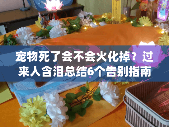 宠物死了会不会火化掉?过来人含泪总结6个告别指南(附费用明细) 宠物死了会不会火化掉?过来人含泪总结6个告别指南(附费用明细)