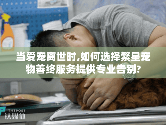 当爱宠离世时,如何选择繁星宠物善终服务提供专业告别?