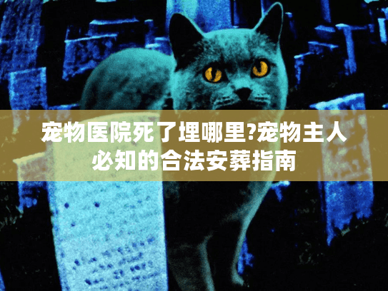 宠物医院死了埋哪里?宠物主人必知的合法安葬指南 宠物医院死了埋哪里?宠物主人必知的合法安葬指南