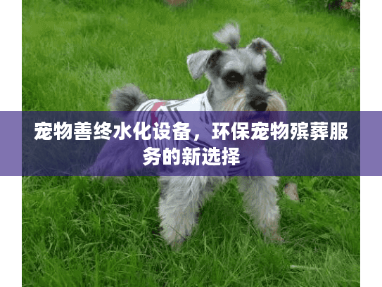 宠物善终水化设备，环保宠物殡葬服务的新选择