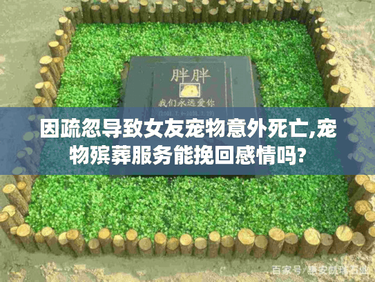 因疏忽导致女友宠物意外死亡,宠物殡葬服务能挽回感情吗?
