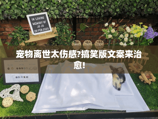宠物离世太伤感?搞笑版文案来治愈!