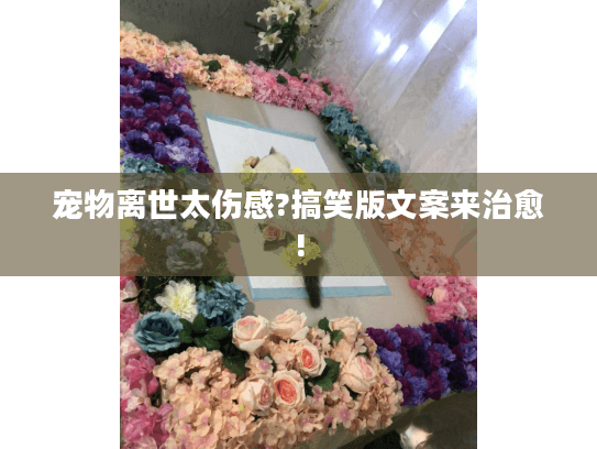 宠物离世太伤感?搞笑版文案来治愈!