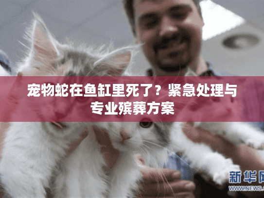 宠物蛇在鱼缸里死了？紧急处理与专业殡葬方案