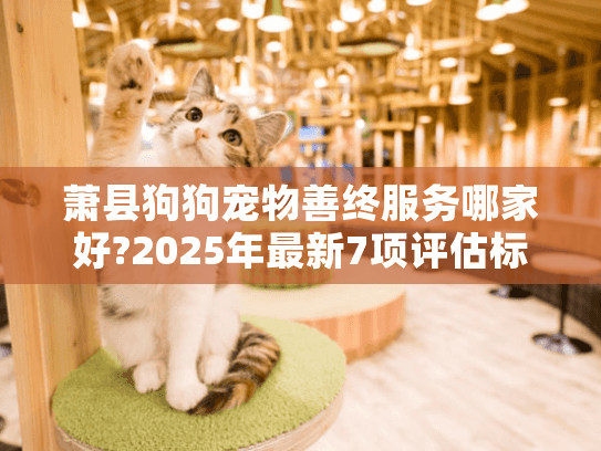 萧县狗狗宠物善终服务哪家好?2025年最新7项评估标准