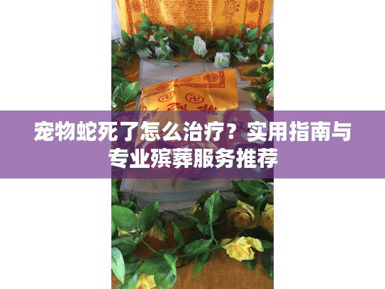 宠物蛇死了怎么治疗？实用指南与专业殡葬服务推荐