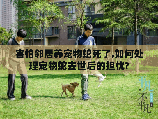 害怕邻居养宠物蛇死了,如何处理宠物蛇去世后的担忧? 害怕邻居养宠物蛇死了,如何处理宠物蛇去世后的担忧?