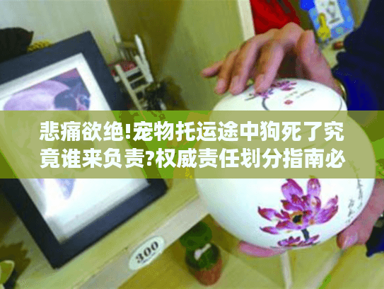 悲痛欲绝!宠物托运途中狗死了究竟谁来负责?权威责任划分指南必看