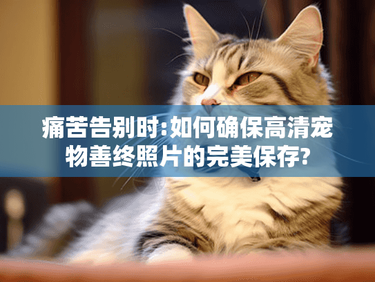 痛苦告别时:如何确保高清宠物善终照片的完美保存?
