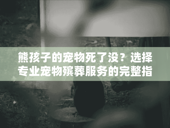 熊孩子的宠物死了没？选择专业宠物殡葬服务的完整指南
