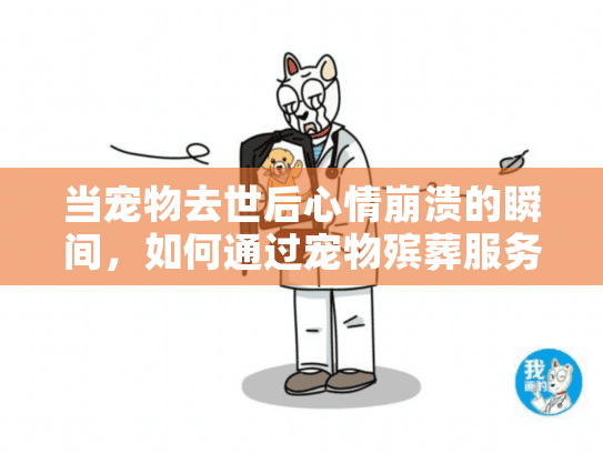 当宠物去世后心情崩溃的瞬间，如何通过宠物殡葬服务找到疗愈慰藉