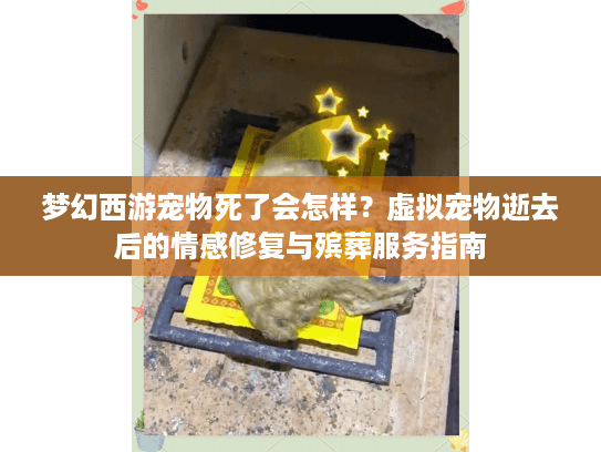 梦幻西游宠物死了会怎样？虚拟宠物逝去后的情感修复与殡葬服务指南