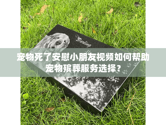 宠物死了安慰小朋友视频如何帮助宠物殡葬服务选择？