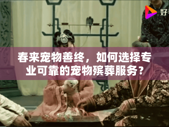 春来宠物善终，如何选择专业可靠的宠物殡葬服务？