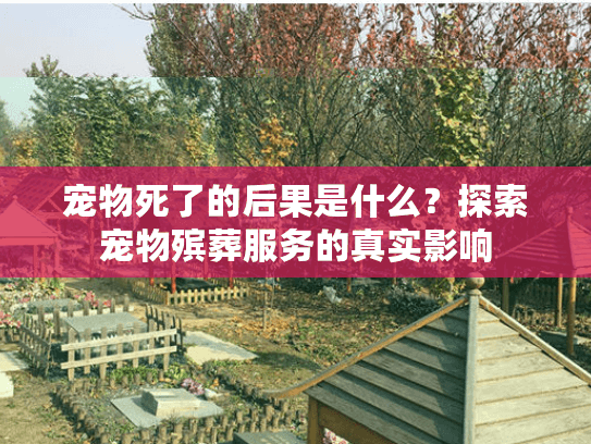 宠物死了的后果是什么？探索宠物殡葬服务的真实影响