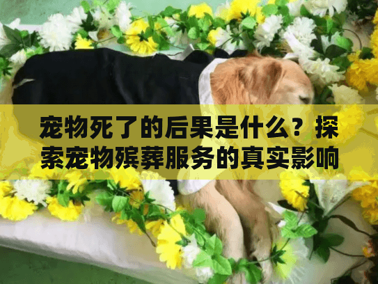 宠物死了的后果是什么？探索宠物殡葬服务的真实影响