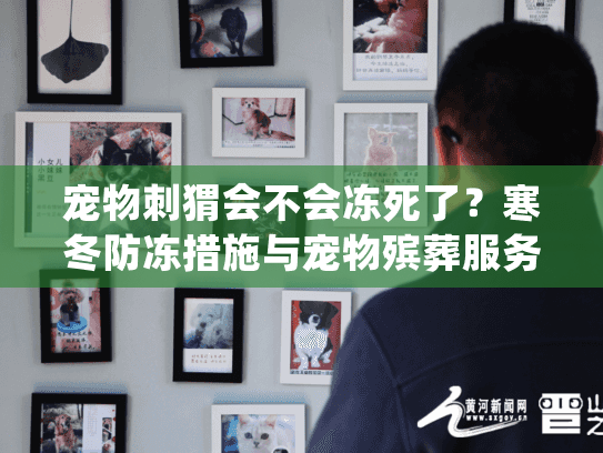 宠物刺猬会不会冻死了?寒冬防冻措施与宠物殡葬服务全指南 宠物刺猬会不会冻死了?寒冬防冻措施与宠物殡葬服务全指南
