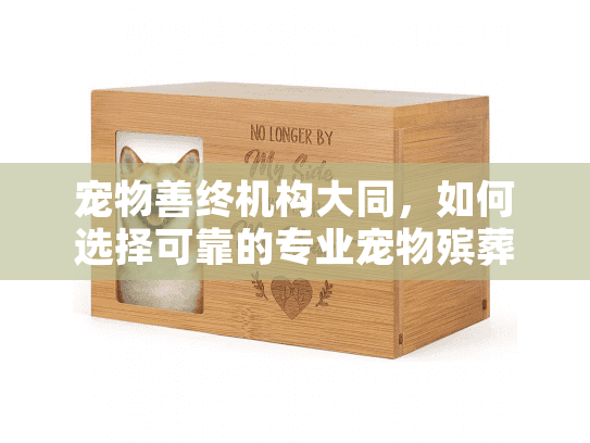 宠物善终机构大同，如何选择可靠的专业宠物殡葬服务？