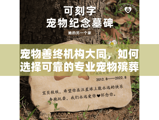 宠物善终机构大同，如何选择可靠的专业宠物殡葬服务？