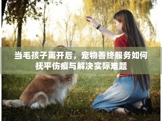 当毛孩子离开后，宠物善终服务如何抚平伤痕与解决实际难题