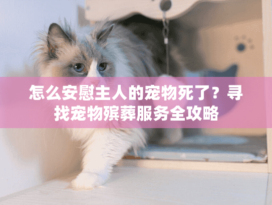 怎么安慰主人的宠物死了？寻找宠物殡葬服务全攻略