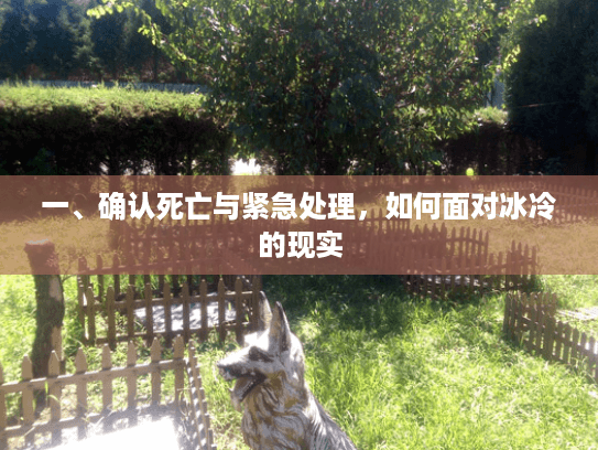 一、确认死亡与紧急处理，如何面对冰冷的现实