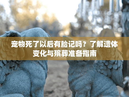 宠物死了以后有胎记吗？了解遗体变化与殡葬准备指南