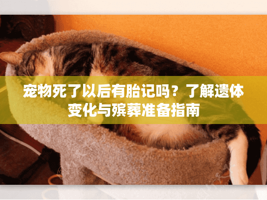 宠物死了以后有胎记吗？了解遗体变化与殡葬准备指南