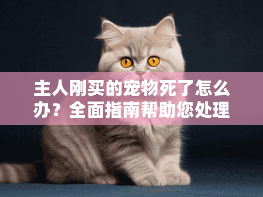 主人刚买的宠物死了怎么办？全面指南帮助您处理丧宠之痛