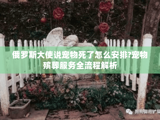 俄罗斯大使说宠物死了怎么安排?宠物殡葬服务全流程解析